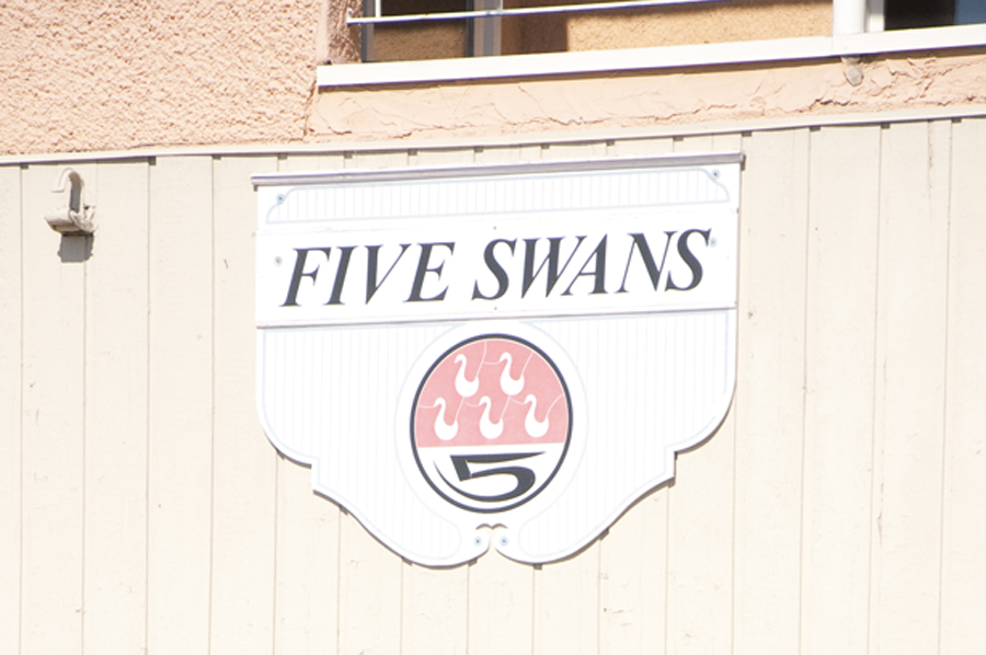 Five Swans