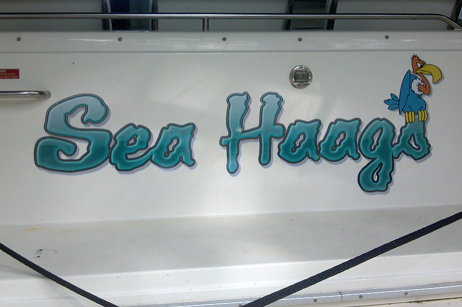 Sea Haags